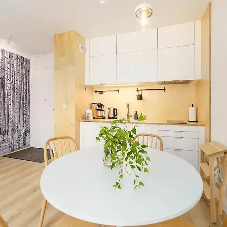 Apartament Birch Tree Surfingbird Dzwirzyno Exterior photo